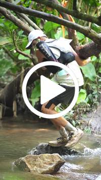 BIB:  <button type="button" onclick="openModal(27824276)" class="btn btn-primary btn-sm float-right" data-toggle="modal" data-target=".modal-high-quality">
                <i class="fa fa-download"></i> Download
                </button>